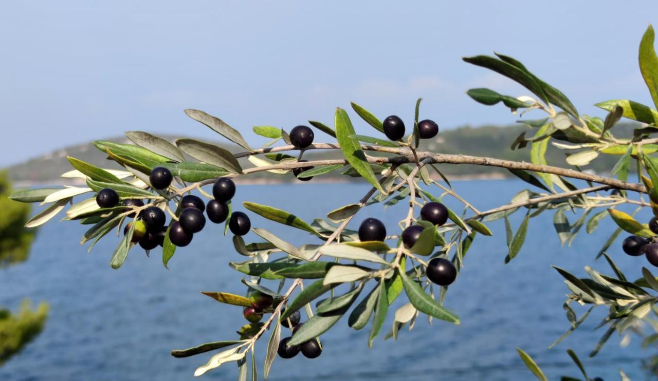 Pansion Alen - Dugi Otok Bed & Breakfast Luka  Bagian luar foto