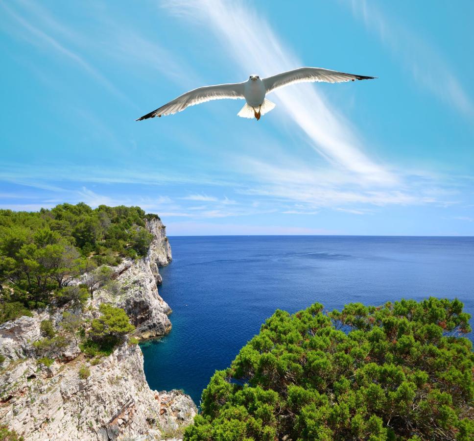 Pansion Alen - Dugi Otok Bed & Breakfast Luka  Bagian luar foto
