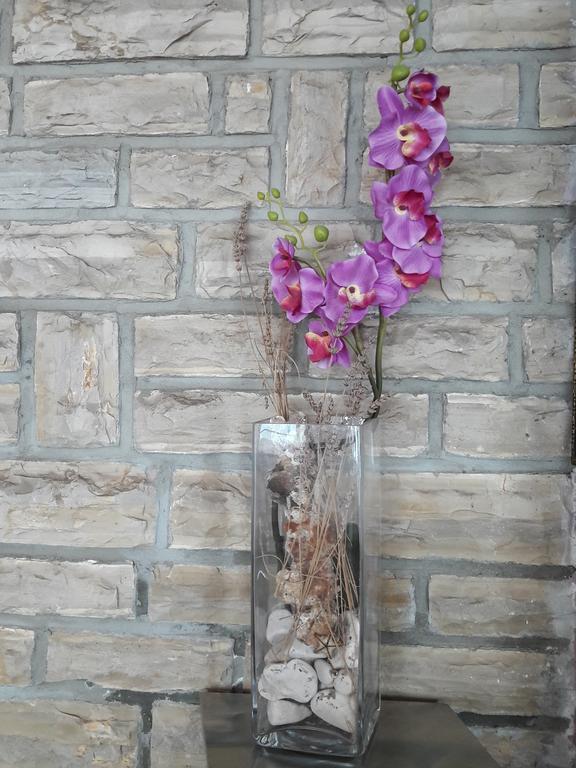 Pansion Alen - Dugi Otok Bed & Breakfast Luka  Bagian luar foto